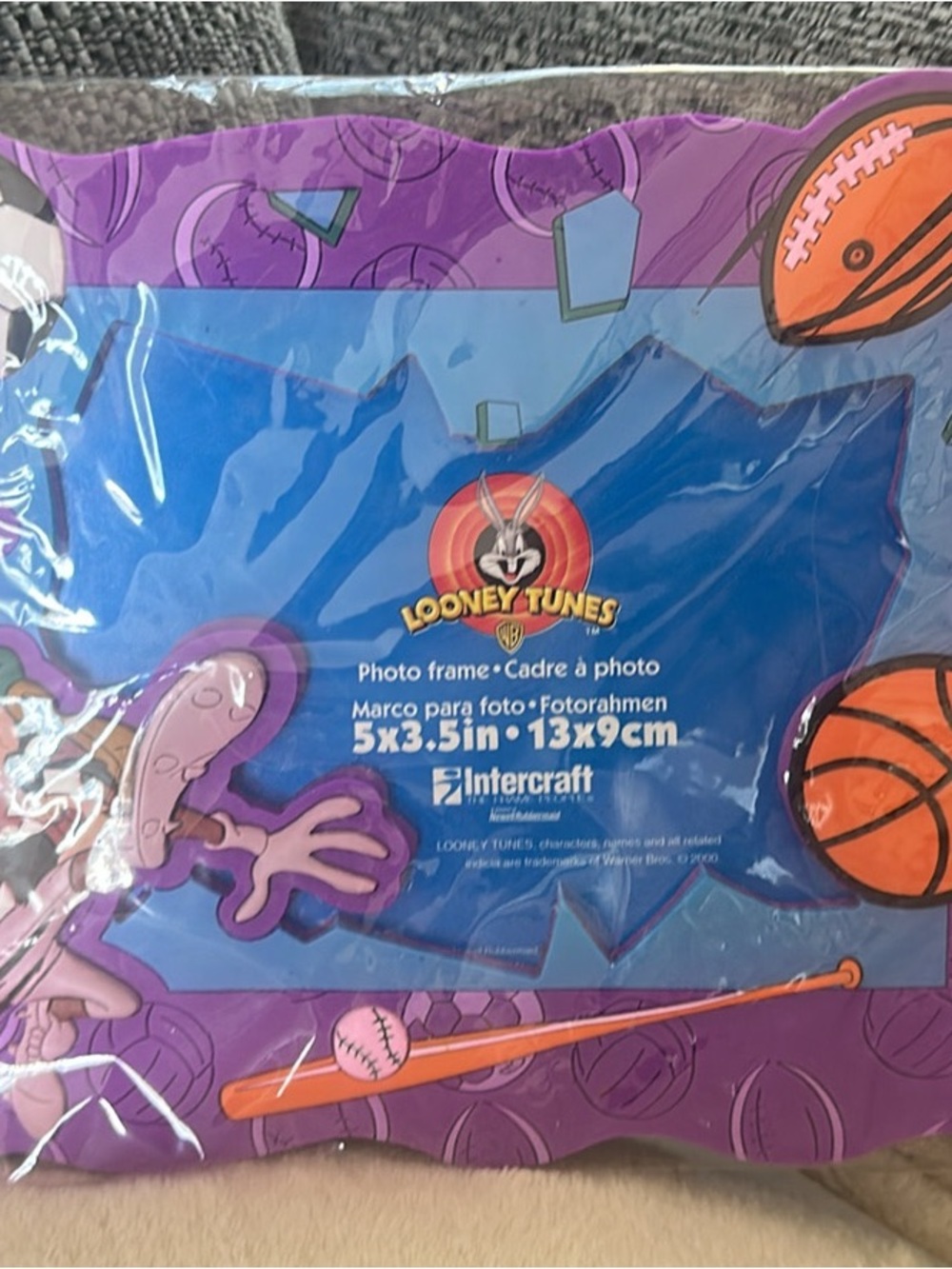 Looney Tunes Blue & Purple Sports Photo Frame - Intercraft